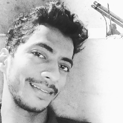 Vaibhav Mestri