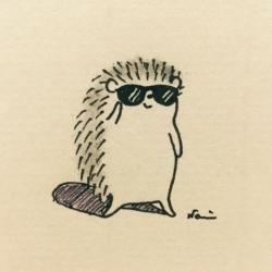 wren m