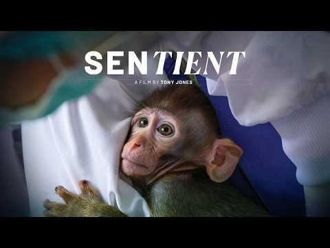 Sentient